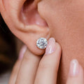 Gold Classic Studs