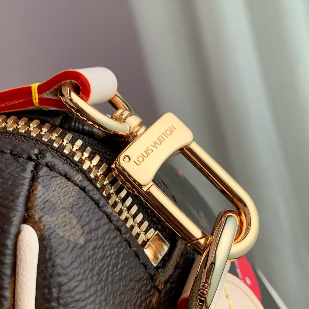 LOUIS VUITTON SPEEDY BANDOULIÈRE 20.5 BAG IN BROWN CANVAS CHERRY PRINTED